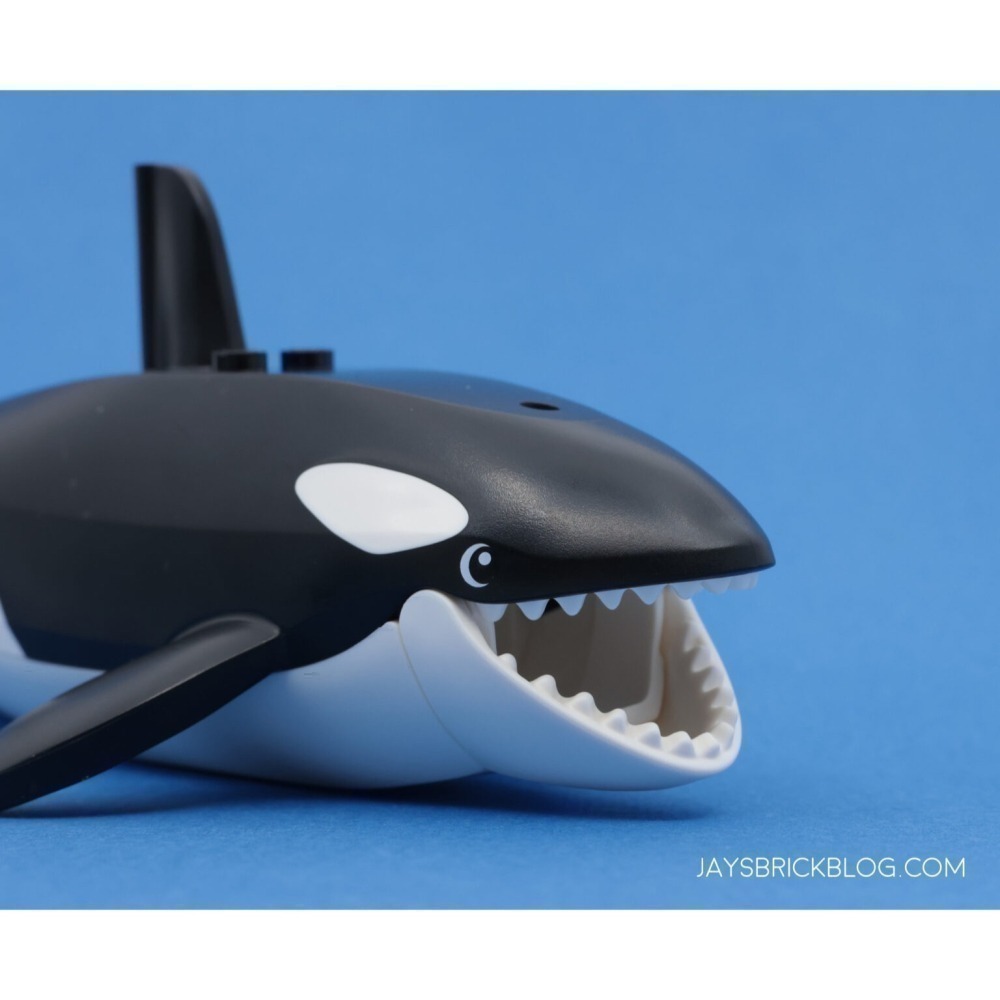 [qkqk] 全新現貨 LEGO 60368 bb1319pb01c02 虎鯨 樂高動物系列-細節圖4