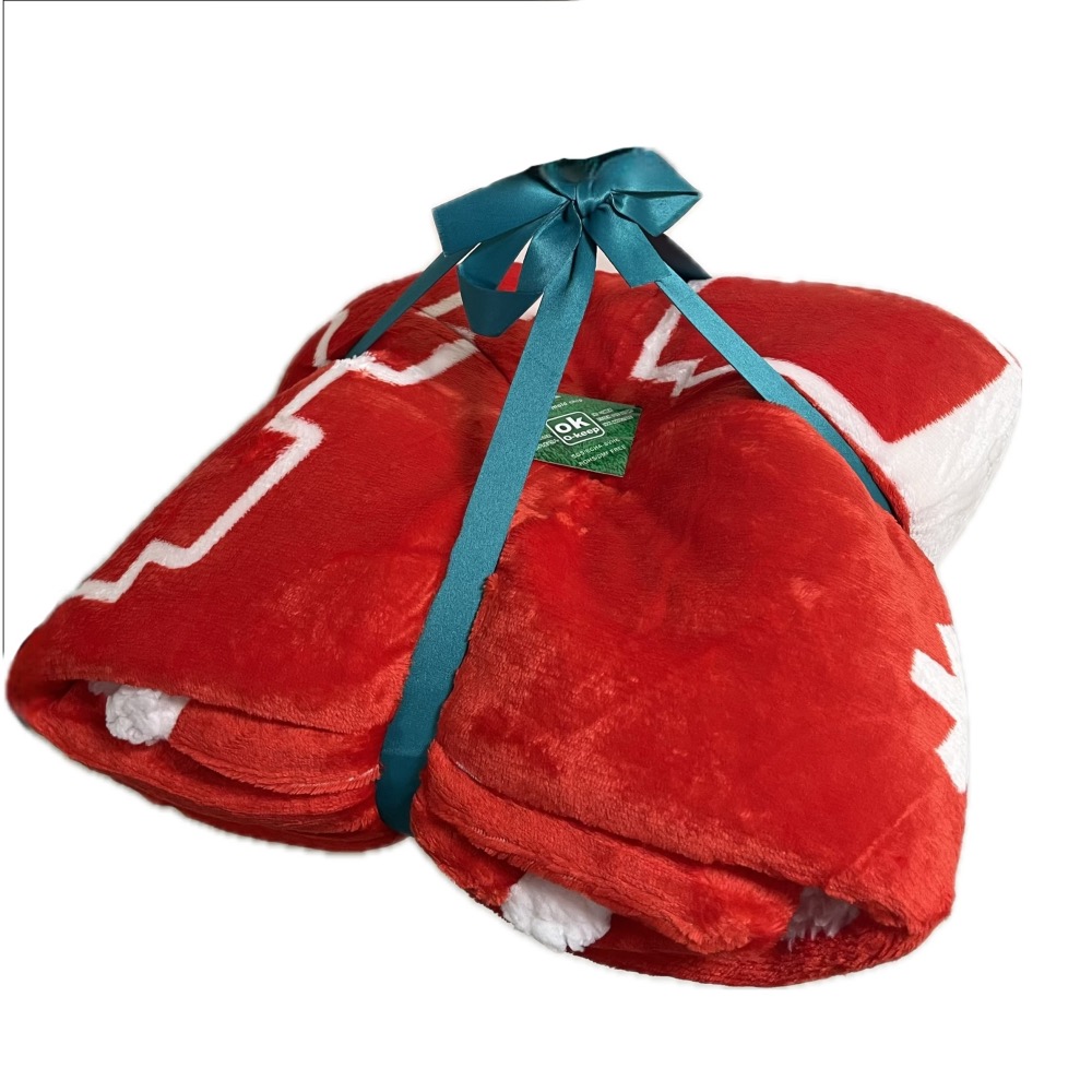 QKQK / 全新現貨 開發票 LEGO 106141 聖誕絨毛毯 樂高周邊系列-細節圖2