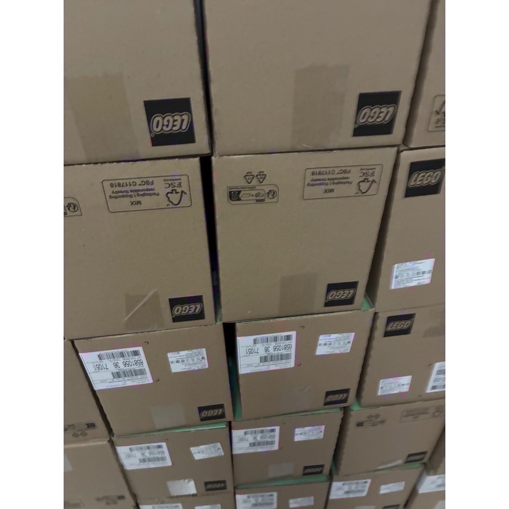 ❗️外盒未拆 現貨速出❗️開發票 LEGO 71051 動物人偶包 一套 第28代 樂高人偶抽抽樂系列 / QKQK-規格圖4