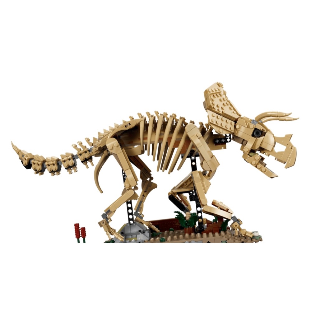 QKQK / 全新現貨 開發票 LEGO 77985 恐龍化石：三角龍 樂高侏羅紀系列-細節圖4