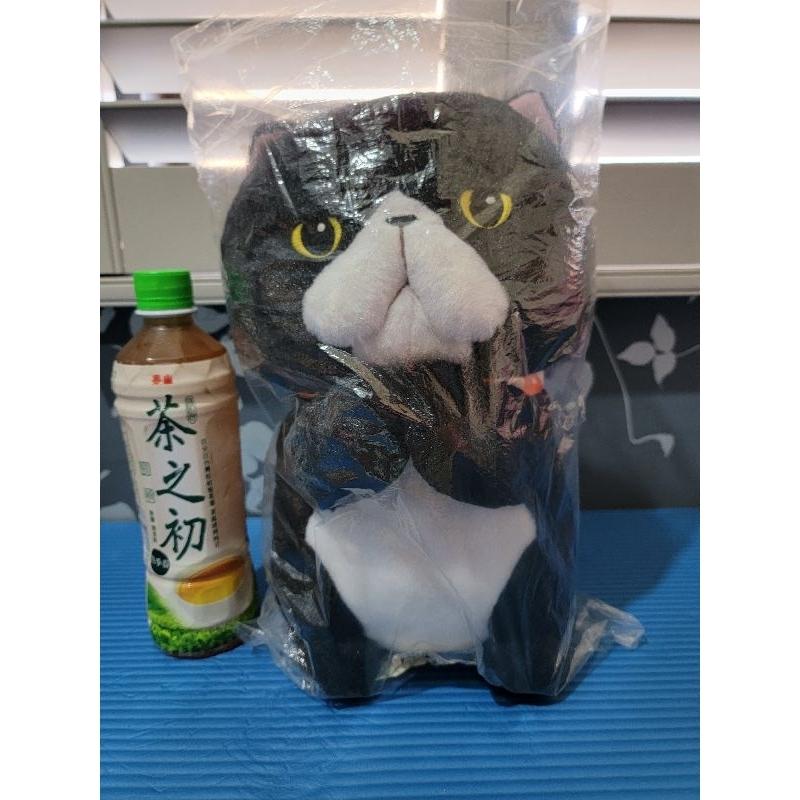 日本正版景品娃娃 芝麻街 艾蒙 發條熊 抱枕 黑貓 全新有吊牌-細節圖3