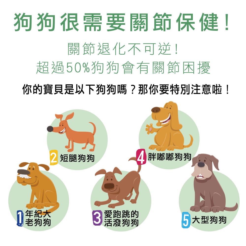 【威旺WeWant】威旺固膝健-骨骼關節配方-細節圖2