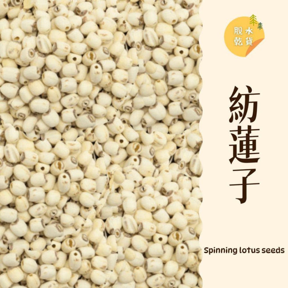 ｜大台南五穀糧倉｜600g 1斤 紡蓮子 方蓮子 建蓮子 通心蓮子 蓮子 四神湯 穿心蓮 脫水乾貨五穀雜糧-細節圖2