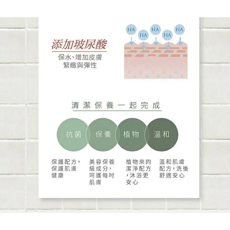 綠的 GREEN 抗菌沐浴露 沐浴乳 1000ml/瓶 洋梨小蒼蘭/橙花燕麥/蘋果玫瑰/橄欖葉 【超取限重4瓶】-細節圖2