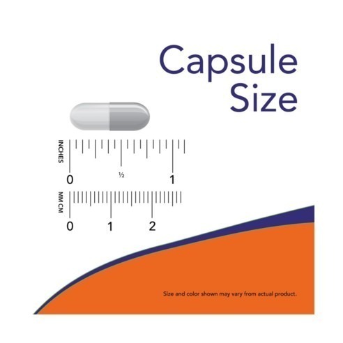 NOW Foods Probiotic-10 250億益生菌素食膠囊 100顆 × 1罐-細節圖4