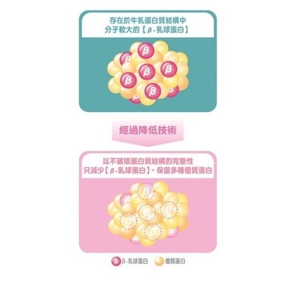 meiji 明治 成長配方食品1-3歲 800g × 1罐 #奶粉-細節圖8