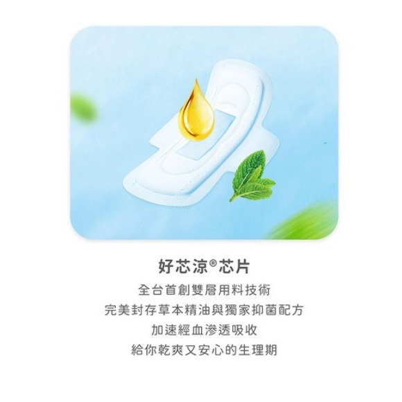 icon 愛康 涼感衛生棉 日用型 24cm 8片 15片 24片 深海礦物配方 草本精油-細節圖4