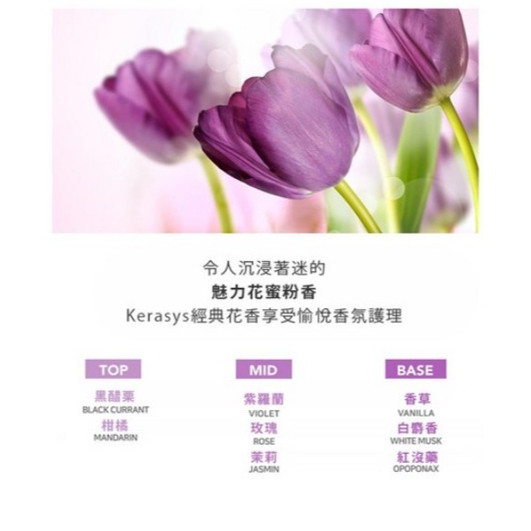 KERASYS 可瑞絲 植萃系抗損系列洗髮精 潤髮乳 含17種胺基酸 添加摩洛哥堅果油 980ml 1.5L 1瓶-細節圖4