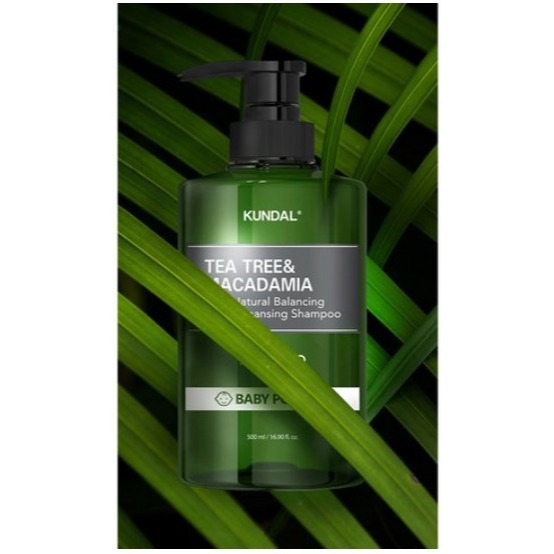 KUNDAL 昆黛爾 茶樹澳洲堅果控油清爽洗髮露 洗髮精 Baby Powder 1.058L 1瓶-細節圖3