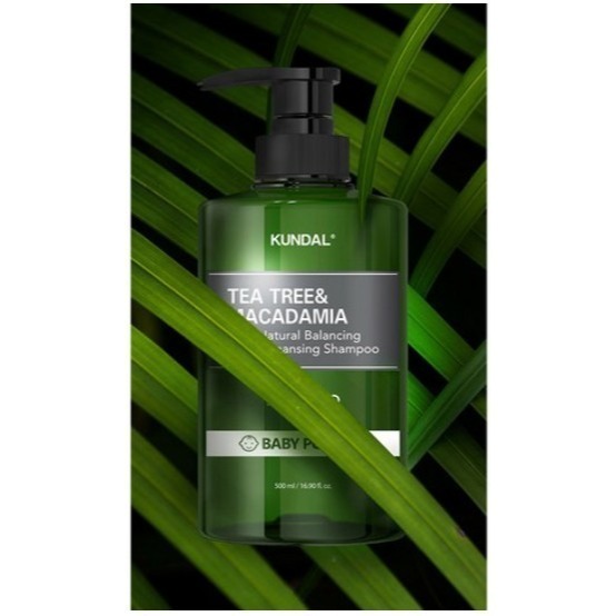 KUNDAL 昆黛爾 茶樹澳洲堅果控油清爽洗髮露 洗髮精 Baby Powder 1.058L 1瓶-細節圖3