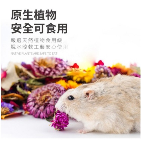 JONSANTY 寵尚天 倉鼠花草墊料 綠野仙踪 1.2L 1罐-細節圖8