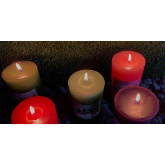 THE HERB SHOP 香氛蠟燭 香薰蠟燭 570g 桉樹 茉莉花 薄荷 薰衣草 迷迭香 香茅 黑櫻桃 1入-細節圖4