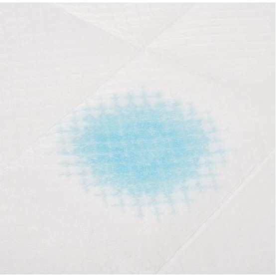 Tamsaa 瞬吸型寵物尿布墊 50x40公分 100片/包 防水底層 維持地面乾爽 超強吸水-細節圖2