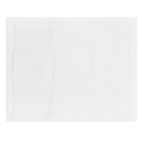 Tamsaa 瞬吸型寵物尿布墊 50x40公分 100片/包 防水底層 維持地面乾爽 超強吸水-細節圖6