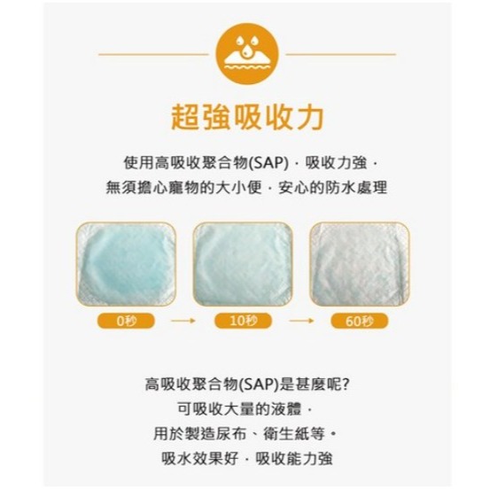 Tamsaa 狗狗專用尿布墊 無香 M 40x50cm 100片 1包 L 76x60cm 50片 1包-細節圖3