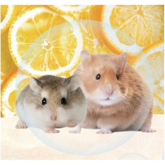 hamcook 倉鼠 倉鼠 沐浴沙 檸檬 1kg 1包 #鼠沙 #鼠砂 #沐浴砂 #倉鼠砂 #倉鼠沙 ｜超取上限4包｜-細節圖3