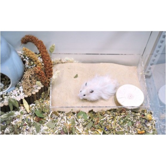 Hassy 卡拉哈里沙漠沙子 2kg/包 #鼠沙 #沐浴沙 #倉鼠沙 #鼠砂 #沐浴砂 #倉鼠砂-細節圖3