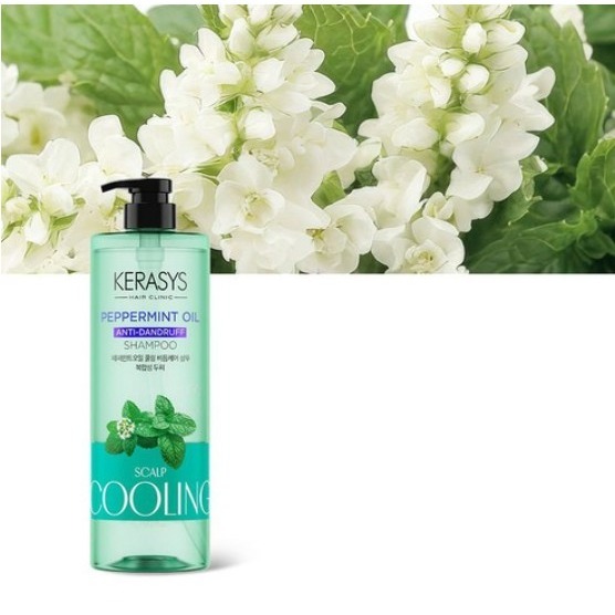 KERASYS 可瑞絲 薄荷油頭皮清涼去屑洗髮精 1L 1瓶-細節圖4