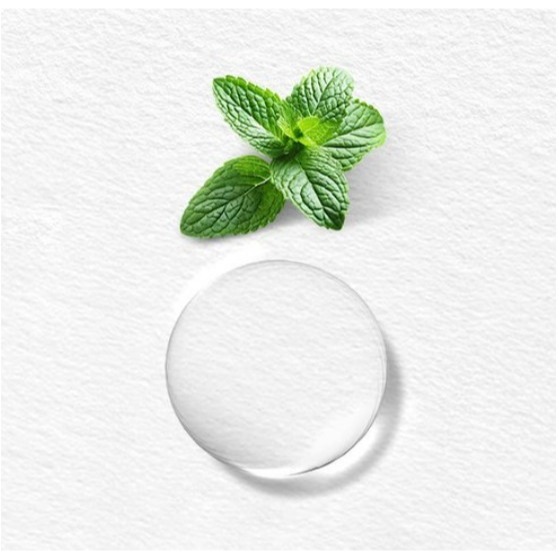 KERASYS 可瑞絲 薄荷油頭皮清涼去屑洗髮精 1L 1瓶-細節圖5