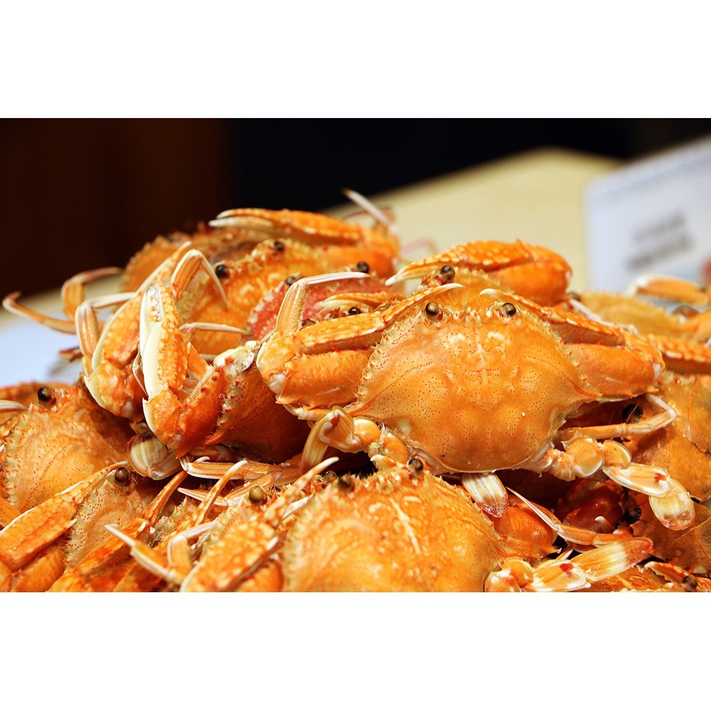 澎湖福朋喜來登酒店【宜客樂海港自助百匯】晚餐吃到飽單人券MO26-細節圖3