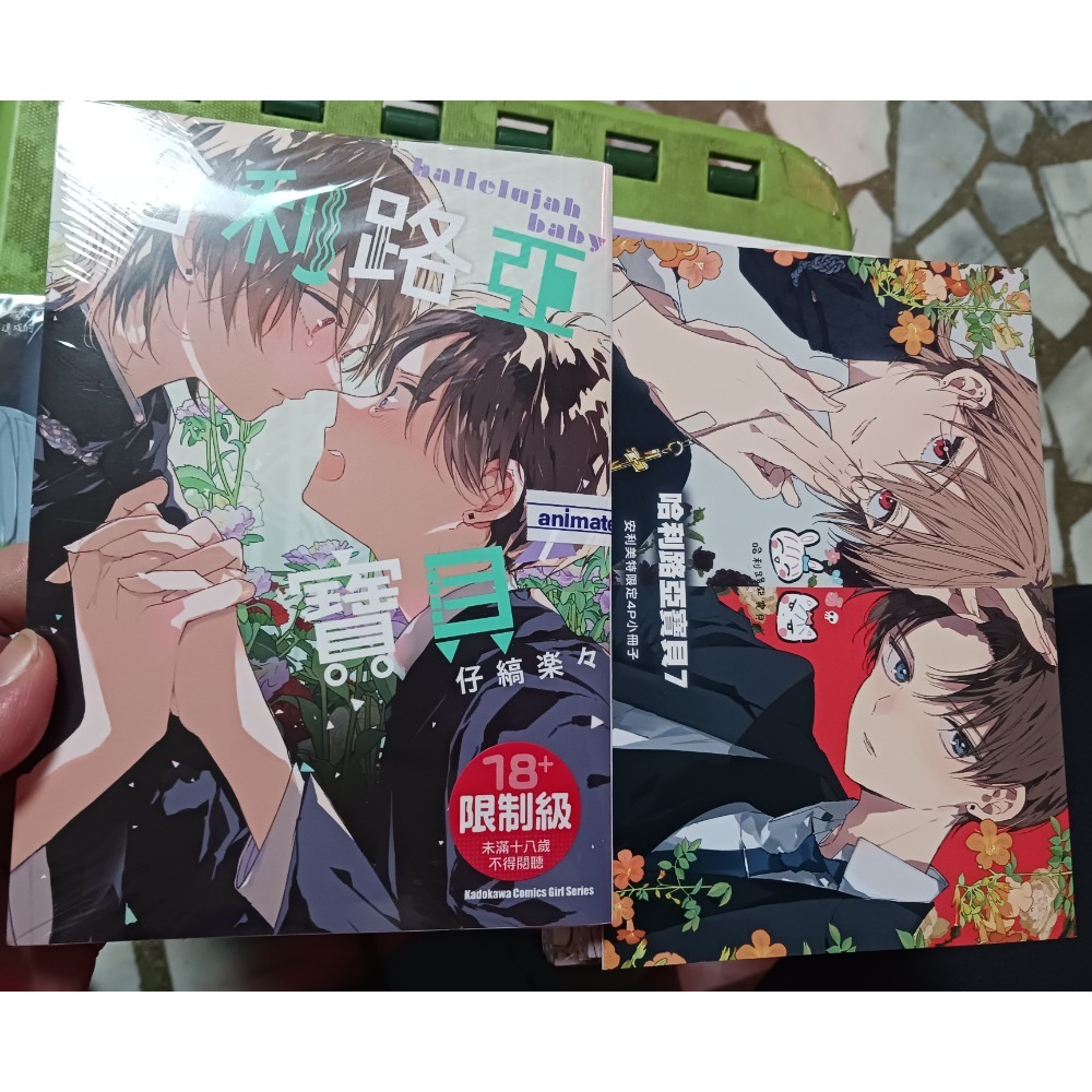 哈利路亞寶貝5～7集+安利美特特典卡小冊子-細節圖4