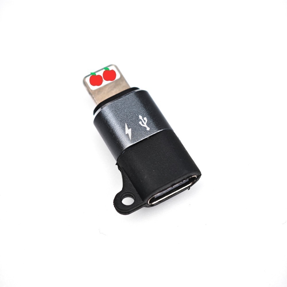 光連科技🪷 iPhone iPad 用的 USB DAC 轉接頭 Lightning Type-C Apple OTG-細節圖2