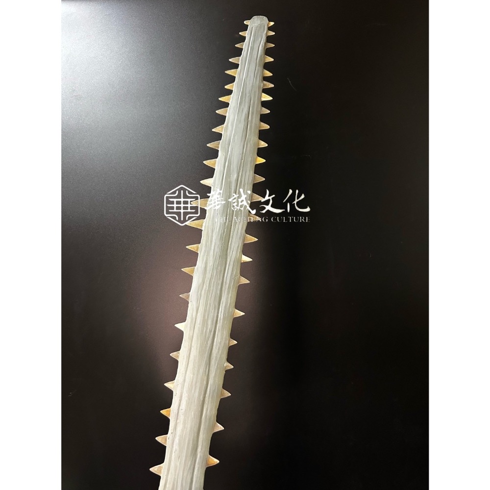「華誠」仿真 2尺7 鯊魚劍 49齒 五寶 法器 可實操 台南現貨-細節圖5