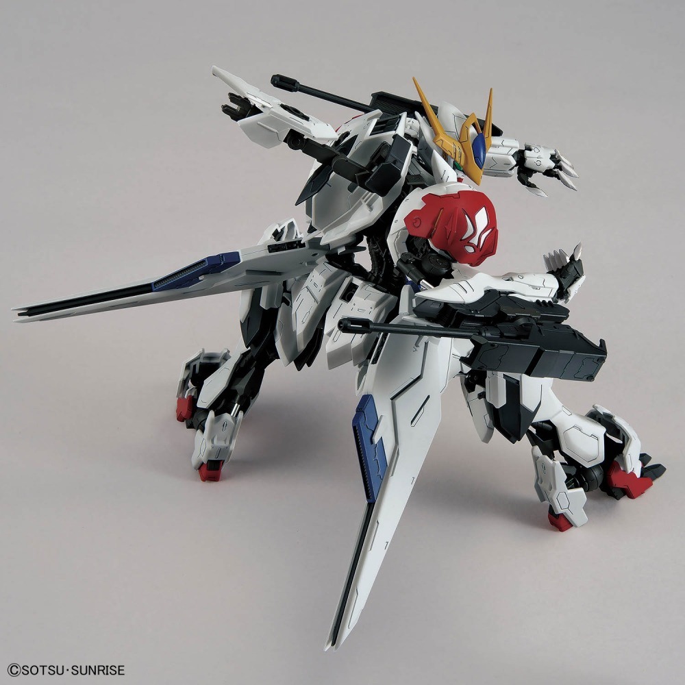 【好多模型】MG 1/100 天狼型獵魔鋼彈-細節圖8