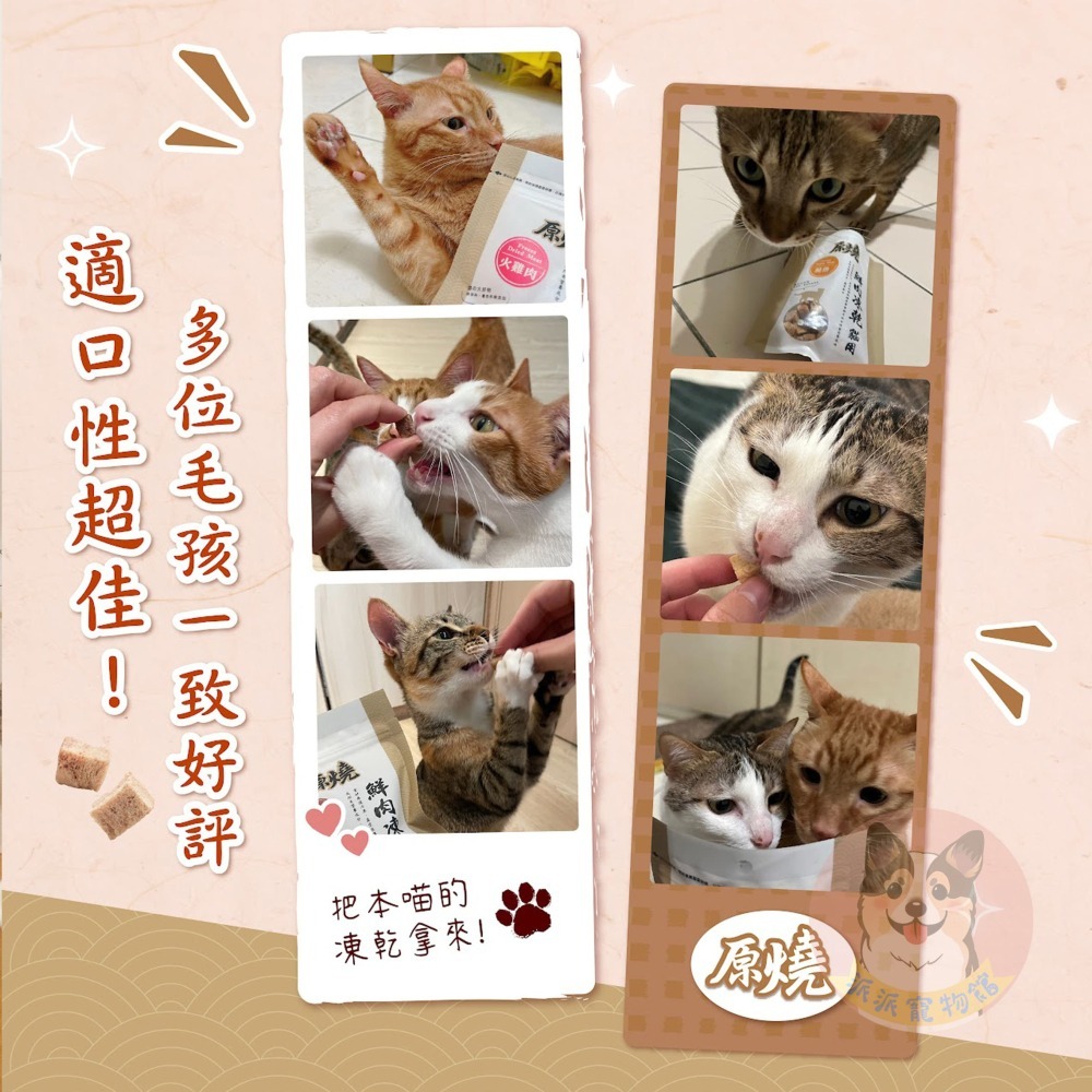 🔥原燒鮮肉凍乾🔥 原燒凍乾 貓咪凍乾凍乾貓凍乾寵物凍乾貓零食貓咪零食原肉凍乾貓點心寵物零食凍乾零食雞肉凍乾凍干鮭魚-細節圖6
