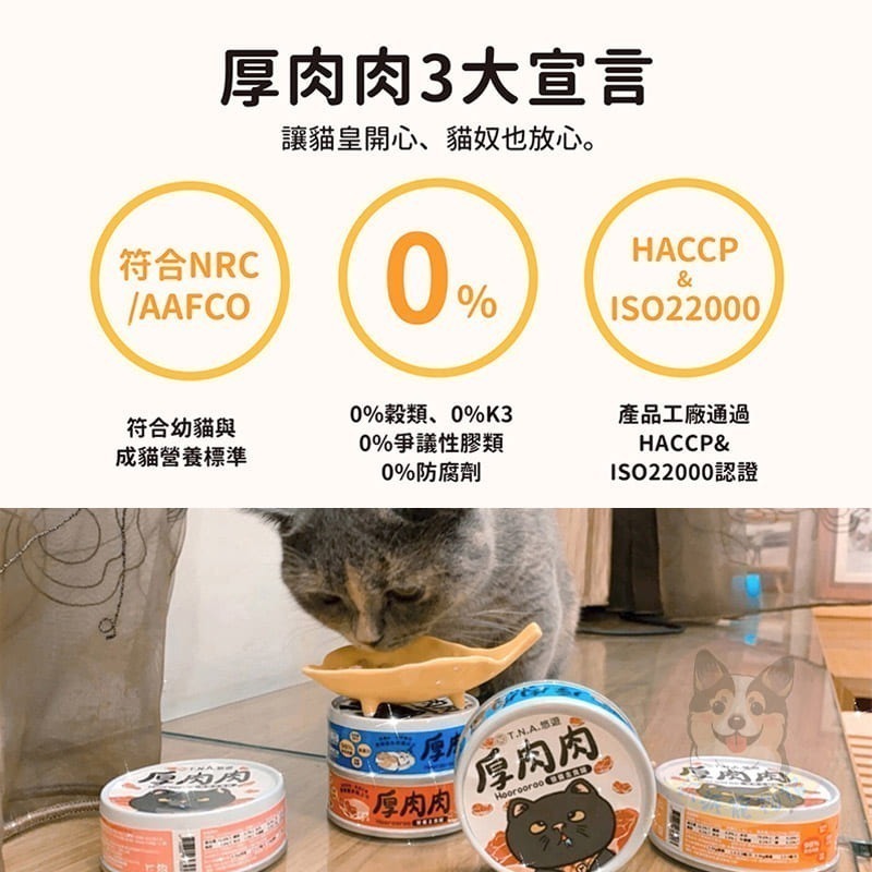 厚肉肉主食罐🥩 添加滴雞精💧營養主食罐 貓罐頭 貓主食罐 肉絲罐 無膠無穀 滴雞精貓罐 幼貓主食罐 厚肉肉貓咪罐頭-細節圖5