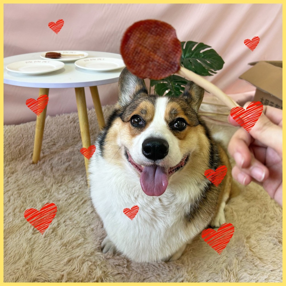 🍭汪洽普🍭 棒棒糖 寵物棒棒糖 狗狗棒棒糖 狗棒棒糖 狗零食寵物零食狗狗零食寵物肉乾狗狗肉乾狗肉乾幼犬零食狗點心小-細節圖2