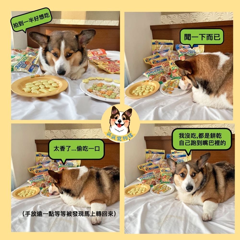 Doggy man🇯🇵 狗餅乾 寵物餅乾 狗狗餅乾 狗零食寵物零食狗狗零食幼犬零食狗點心小狗零食多格漫寵物點心派派-細節圖2