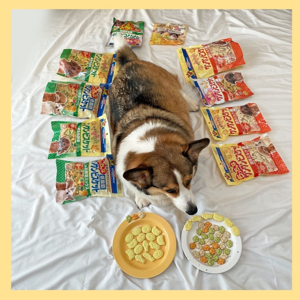 Doggy man🇯🇵 狗餅乾 寵物餅乾 狗狗餅乾 狗零食寵物零食狗狗零食幼犬零食狗點心小狗零食多格漫寵物點心派派-細節圖4
