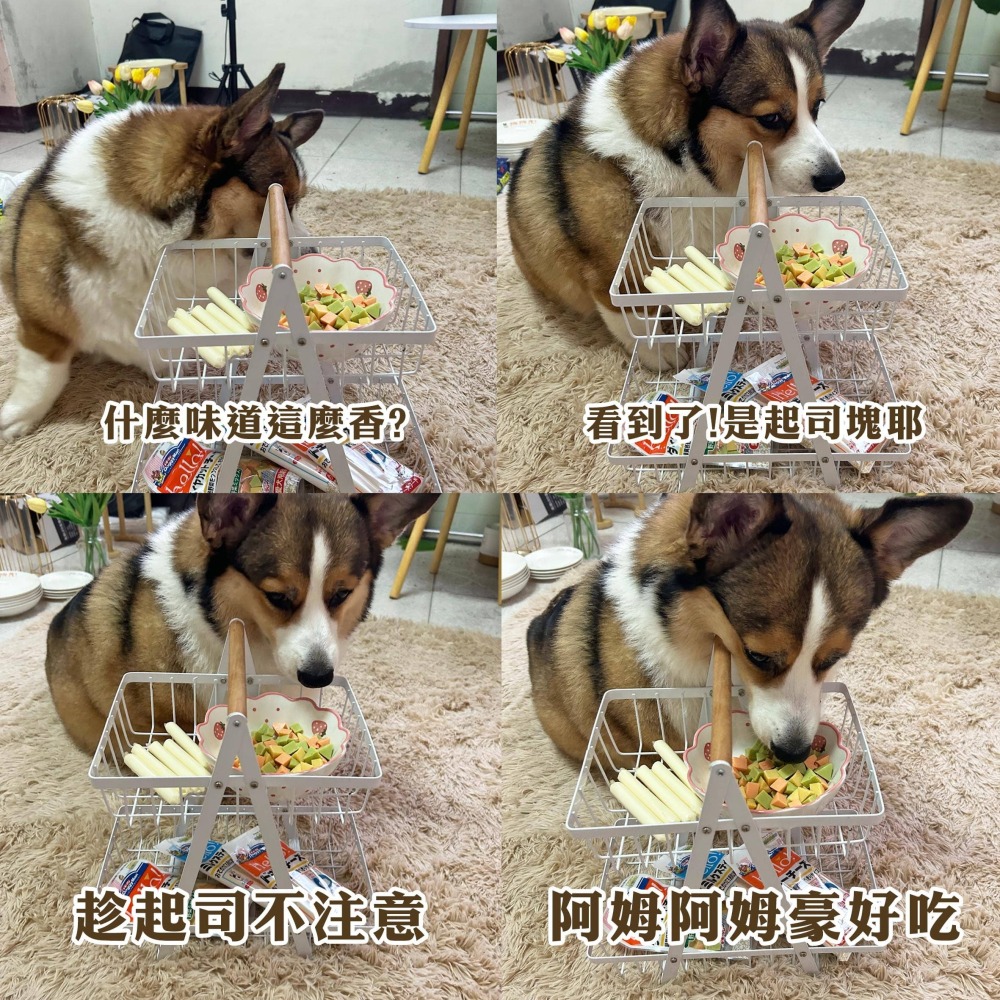 公司正貨 🧀️香濃起司🧀️ DoggyMan起司塊/條寵物起司狗狗起司寵物起司條倉鼠幼犬老鼠零食狗零食寵物零食狗狗-細節圖5