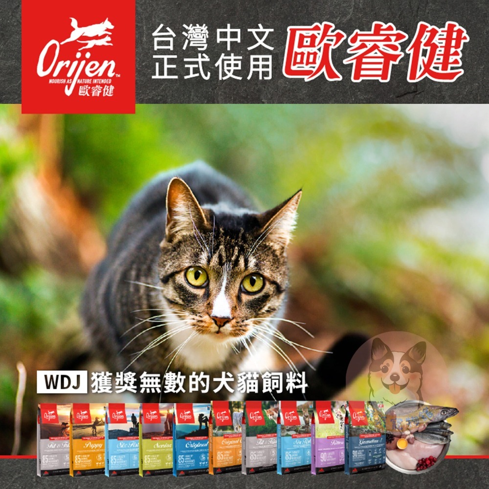 Orijen歐睿健狗飼料🍀 狗飼料 狗狗飼料幼犬飼料寵物飼料狗糧高齡犬渴望飼料老犬老狗寵物保健成犬無穀狗挑嘴狗小型犬-細節圖2