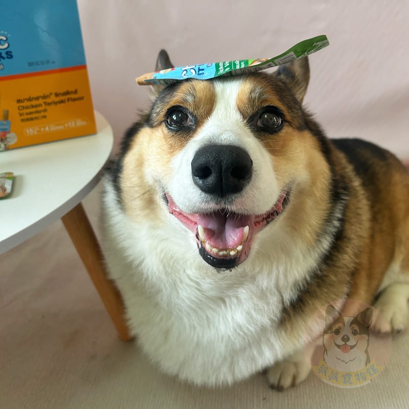 💖SmartHeart💖 慧心柯雞棒👍 狗零食 雞肉條 狗狗肉條 狗零食 柯基棒 寵物零食 狗狗零食 幼犬老犬-細節圖3