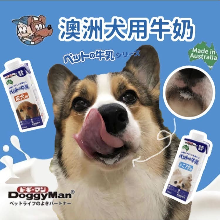 狗狗超愛！DoggyMan🥛 犬用牛奶 多格漫 寵物牛奶 狗狗牛奶狗牛奶寵物奶粉寵物喝水寵物奶狗零食寵物零食幼犬老犬-細節圖2