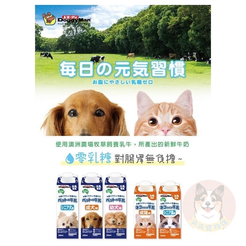狗狗超愛！DoggyMan🥛 犬用牛奶 多格漫 寵物牛奶 狗狗牛奶狗牛奶寵物奶粉寵物喝水寵物奶狗零食寵物零食幼犬老犬-細節圖6