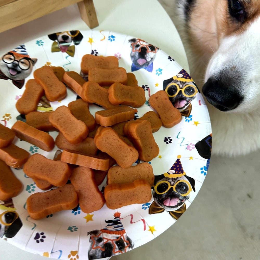 雞老大🐔 狗狗零食 狗零食 寵物零食 幼犬零食 寵物肉乾 狗狗肉乾 雞老大零食 雞肉乾 老狗 老犬 小狗零食訓練點心-細節圖3