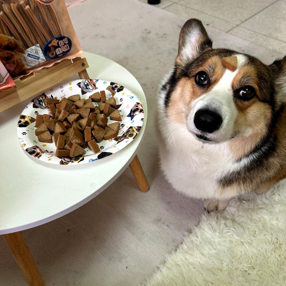 GooToe 活力零食🥳 狗零食 寵物零食 狗狗零食 即期狗零食寵物肉乾狗狗肉乾狗肉乾幼犬零食火雞筋狗肉條狗點心寵物-細節圖2