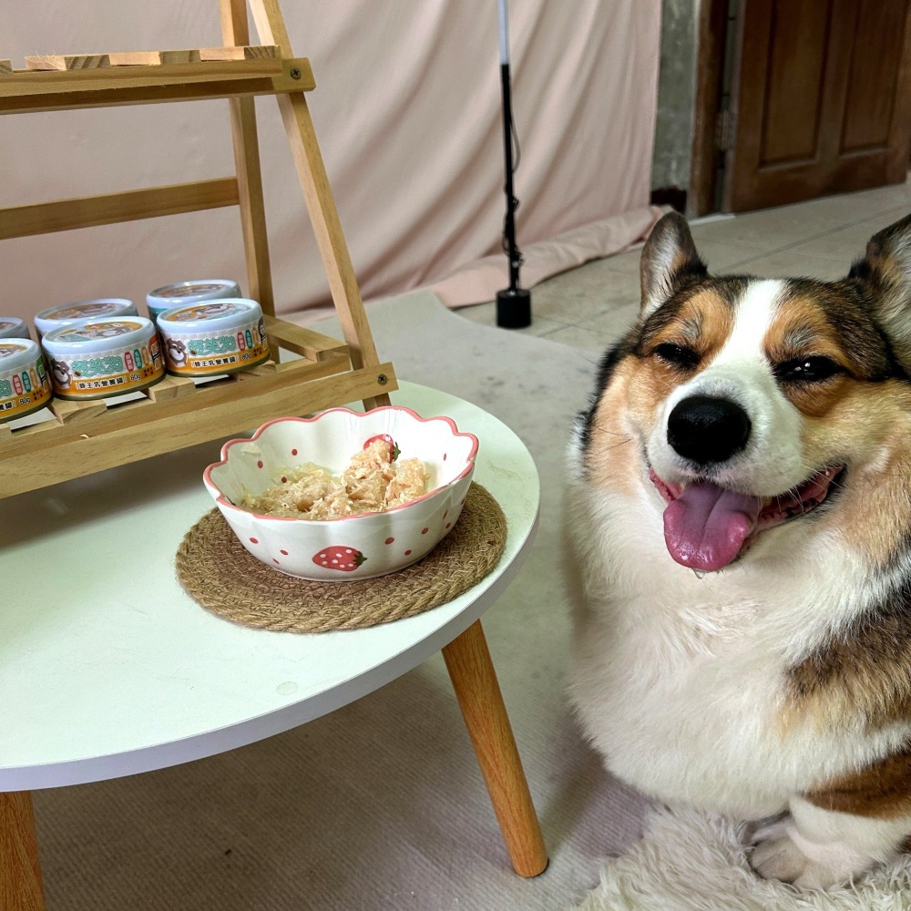 舒芙狗😌 蜂王乳狗罐 舒芙狗狗罐 狗罐頭 營養罐 狗狗罐頭 寵物罐頭 幼犬老狗老犬副食罐寵物食品鮭魚牛肉雞肉80g-細節圖2