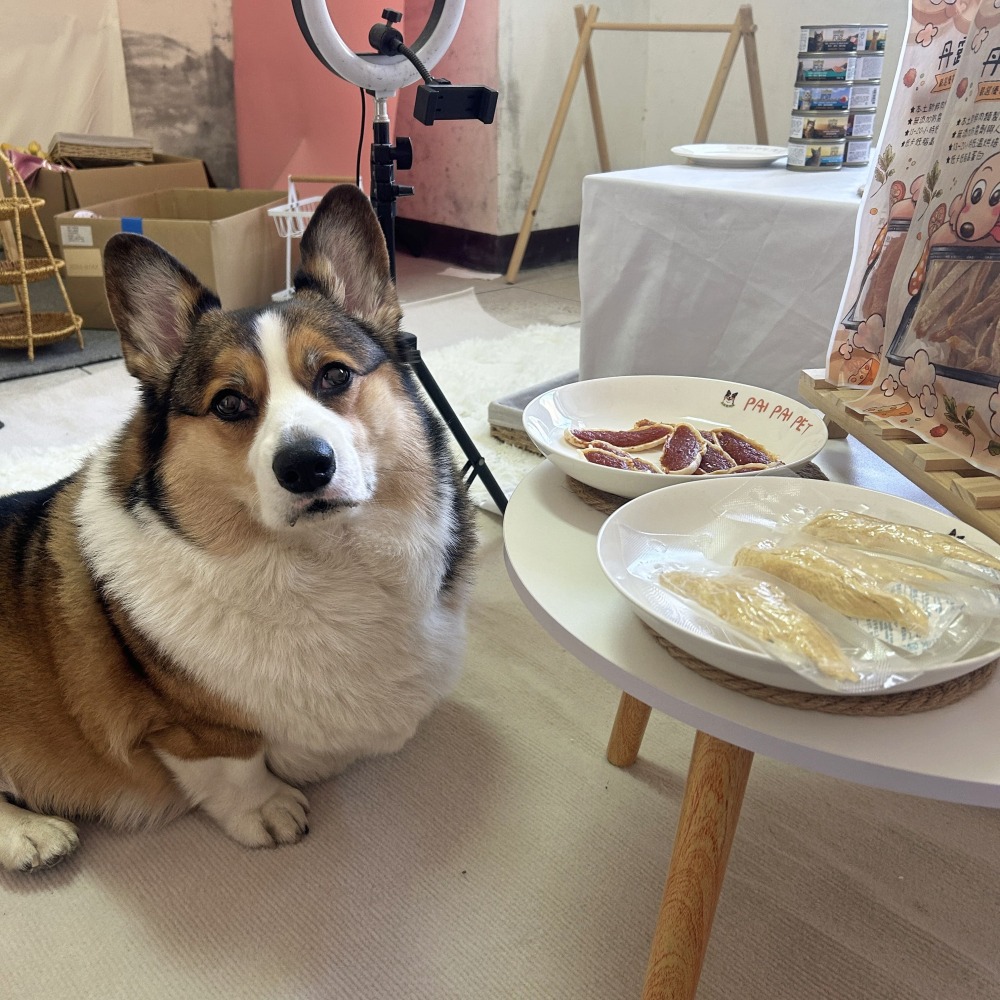 超香~(˶‾᷄ꈊ‾᷅˵)~ DANLO 丹露手作零食 狗零食寵物狗狗零食寵物肉乾狗狗肉乾狗肉乾幼犬零食寵物食品狗肉條-細節圖3