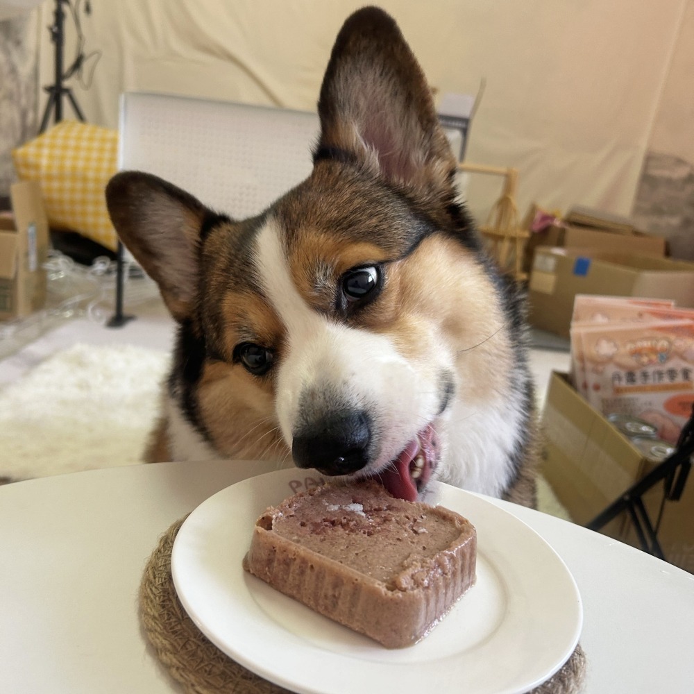 超越巔峰肉排餐盒🥩 狗餐盒 狗罐頭 狗狗罐頭 寵物罐頭 狗罐 幼犬罐頭 老狗罐頭 老犬罐頭 狗狗食物寵物食品100g-細節圖2