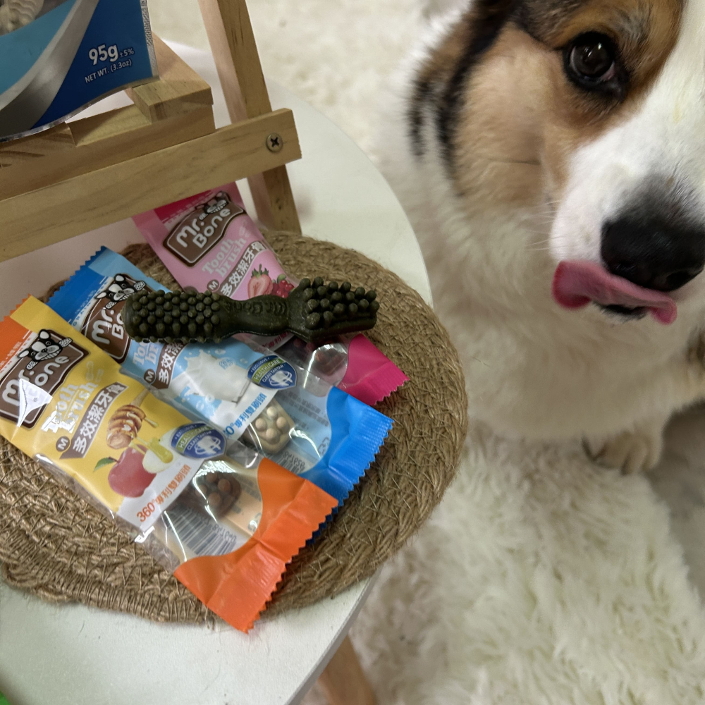 360°雙刷頭♡ˊ˗ Mr.Bone 潔牙骨 狗狗潔牙骨 寵物潔牙骨 寵物潔牙 狗狗潔牙棒 幼犬潔牙骨 狗零食寵物零食-細節圖2