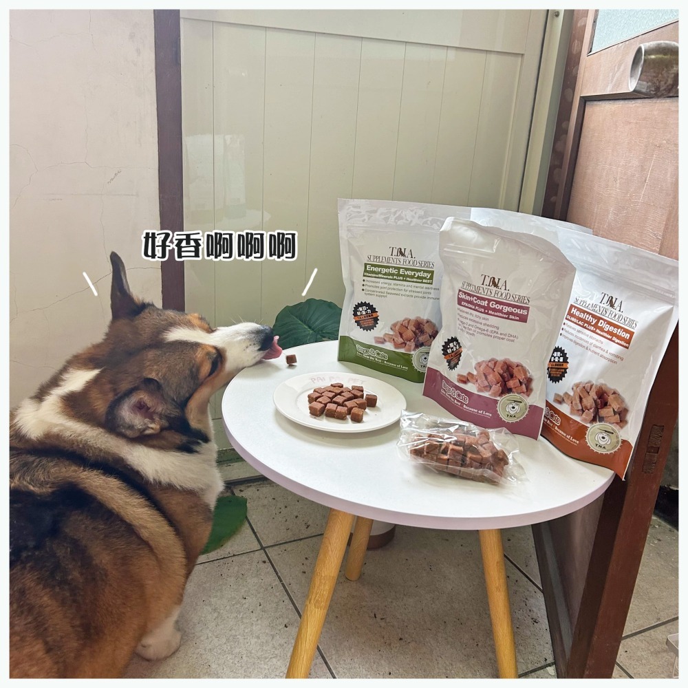 T.N.A.悠遊肉錠 犬貓營養錠 寵物營養品 貓咪營養 狗狗營養 犬貓肉錠-細節圖2