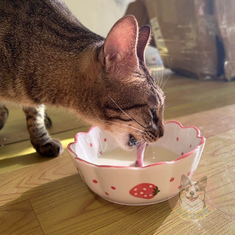 貓狗都可喝☑️ ZEAL牛奶 寵物牛奶 狗狗牛奶 狗牛奶貓咪牛奶貓牛奶幼貓牛奶寵物奶粉寵物喝水寵物奶狗零食貓零食寵物零-細節圖3