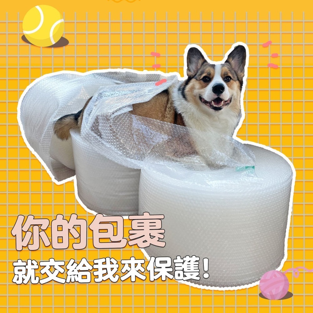 貓狗都可喝☑️ ZEAL牛奶 寵物牛奶 狗狗牛奶 狗牛奶貓咪牛奶貓牛奶幼貓牛奶寵物奶粉寵物喝水寵物奶狗零食貓零食寵物零-細節圖5