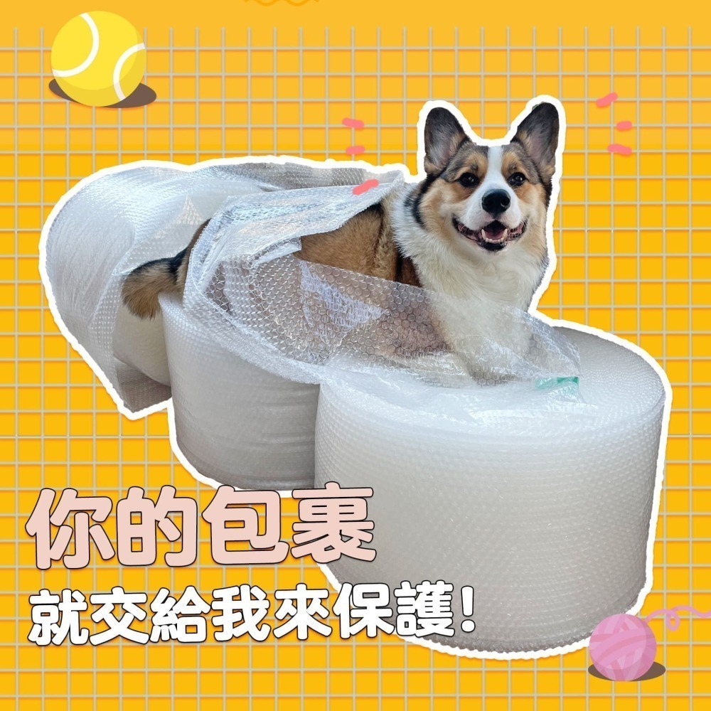 貓狗都可喝☑️ ZEAL牛奶 寵物牛奶 狗狗牛奶 狗牛奶貓咪牛奶貓牛奶幼貓牛奶寵物奶粉寵物喝水寵物奶狗零食貓零食寵物零-細節圖5