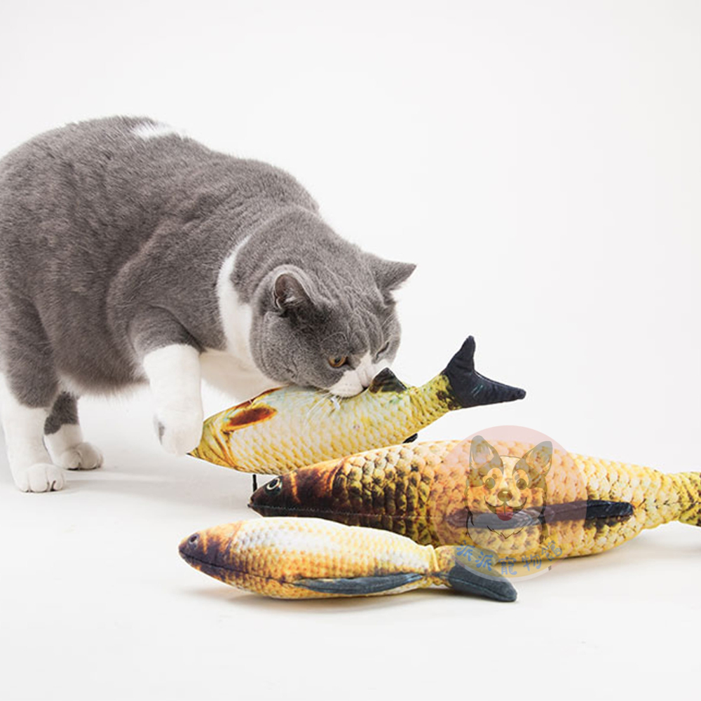 🐠貓薄荷魚🐠 貓玩具 貓咪玩具 寵物玩具 幼貓玩具 貓薄荷貓草玩具仿真玩具貓草魚貓薄荷玩具毛絨魚小貓抱枕娃娃貓草包-細節圖7