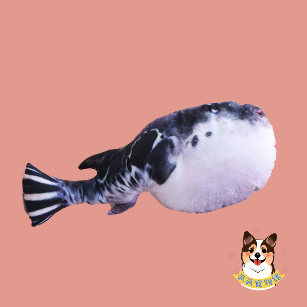 🐠貓薄荷魚🐠 貓玩具 貓咪玩具 寵物玩具 幼貓玩具 貓薄荷貓草玩具仿真玩具貓草魚貓薄荷玩具毛絨魚小貓抱枕娃娃貓草包-規格圖9